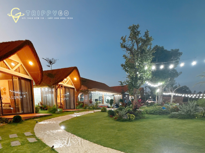 Ở Đâu Khi Đến Tiến Thành – Mũi Né? Gợi Ý Villa – Homestay Đẹp